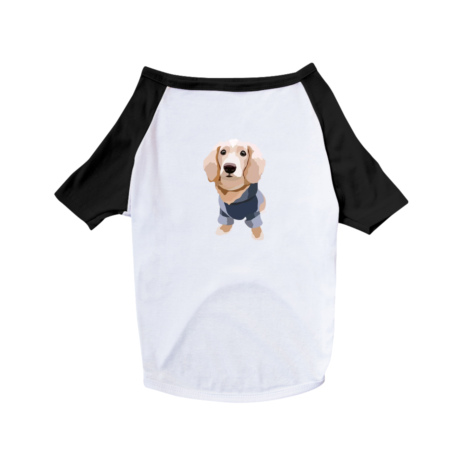 Nome do produto: Pet shirt