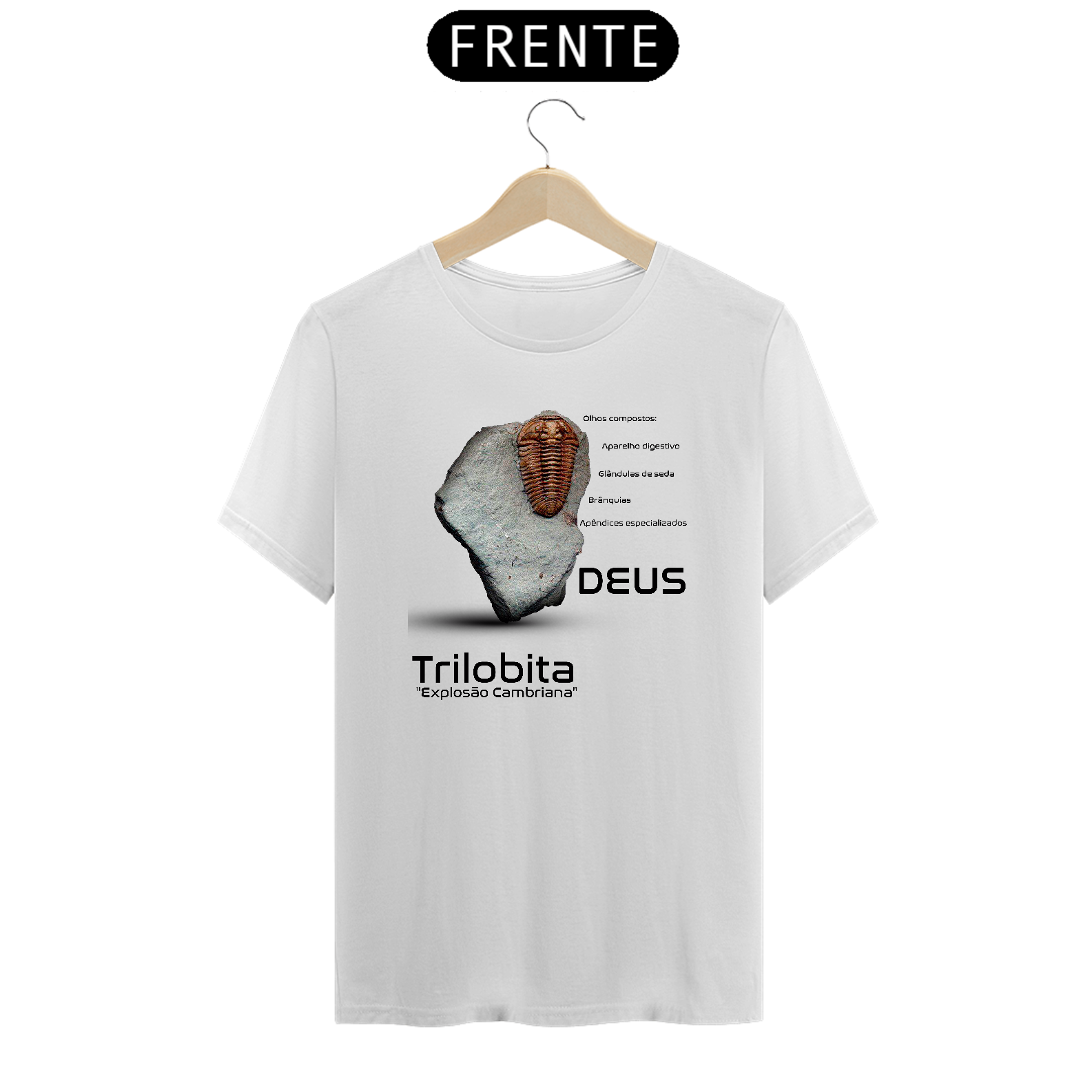 Nome do produto: Trilobita