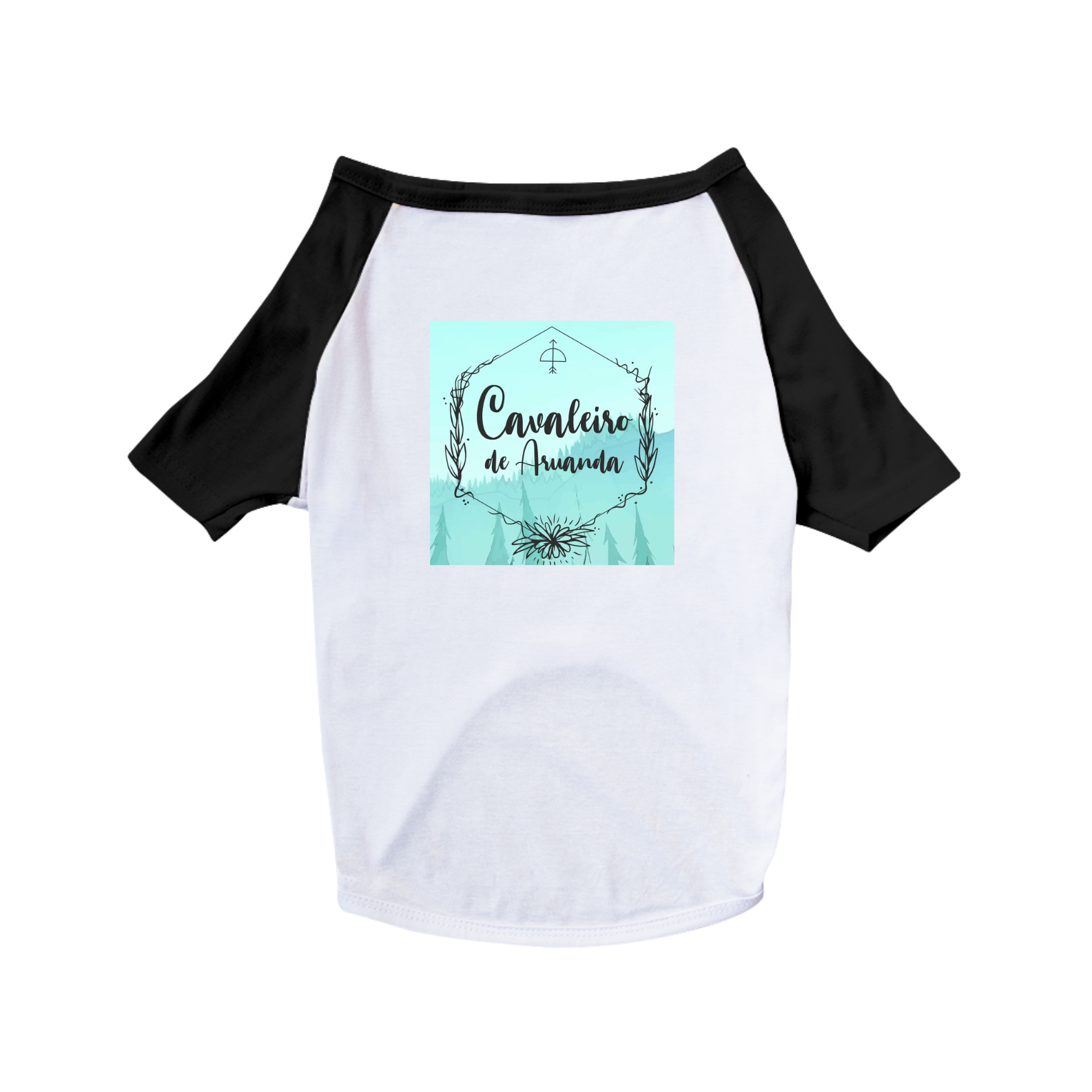 Nome do produto: Cavaleiro de Aruanda PET