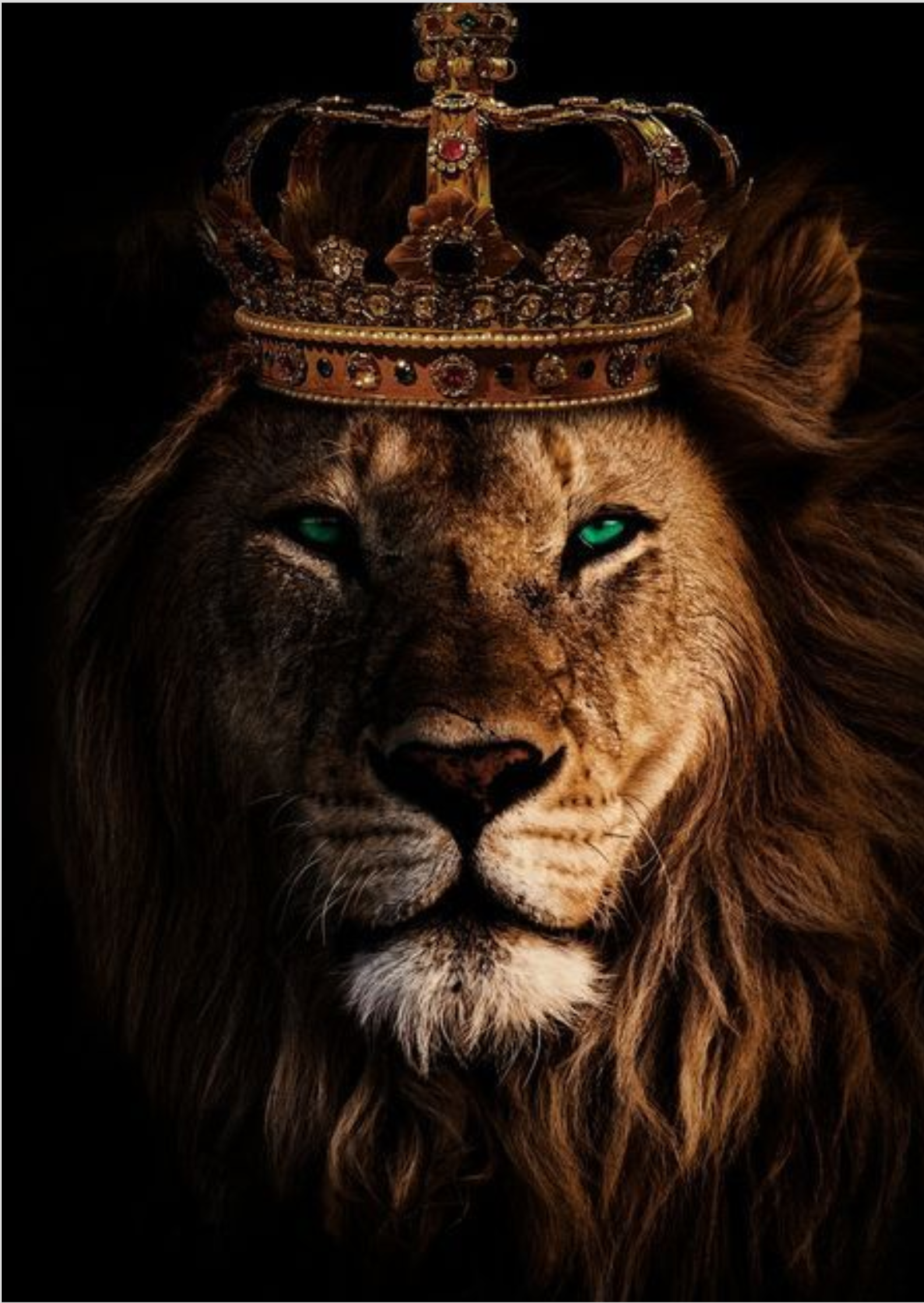 Nome do produto: Poster - Leão de Judá