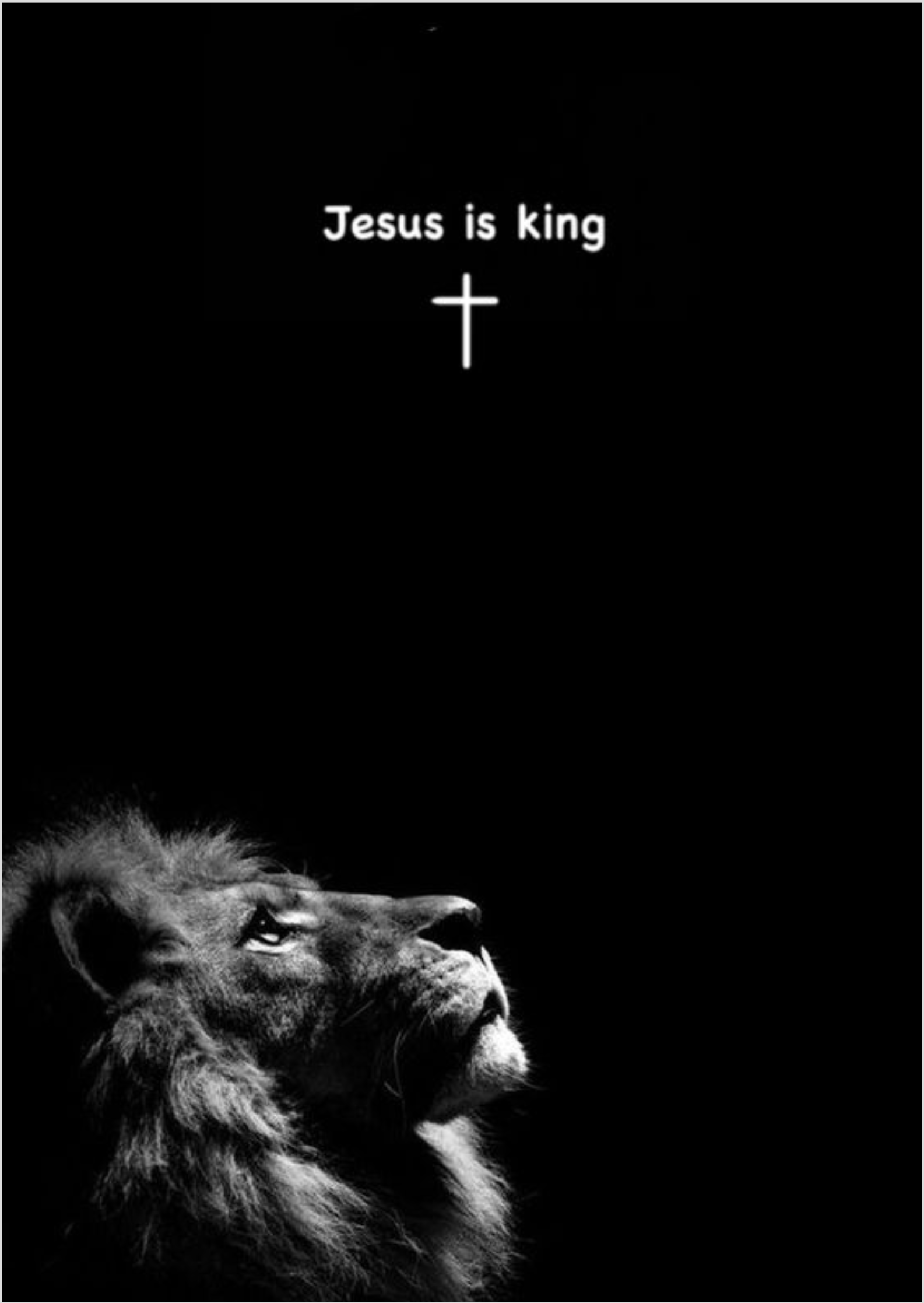 Nome do produto: Poster - Jesus Is King / Leão de Judá