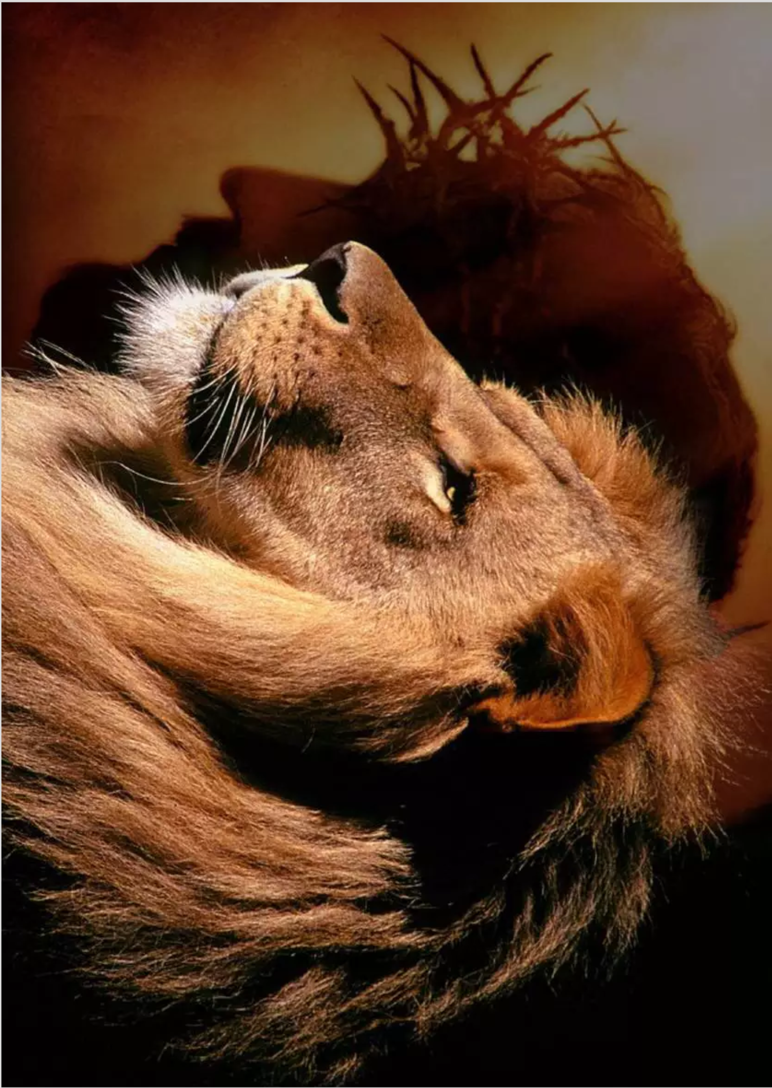 Nome do produto: Poster - Leão de Judá / Jesus