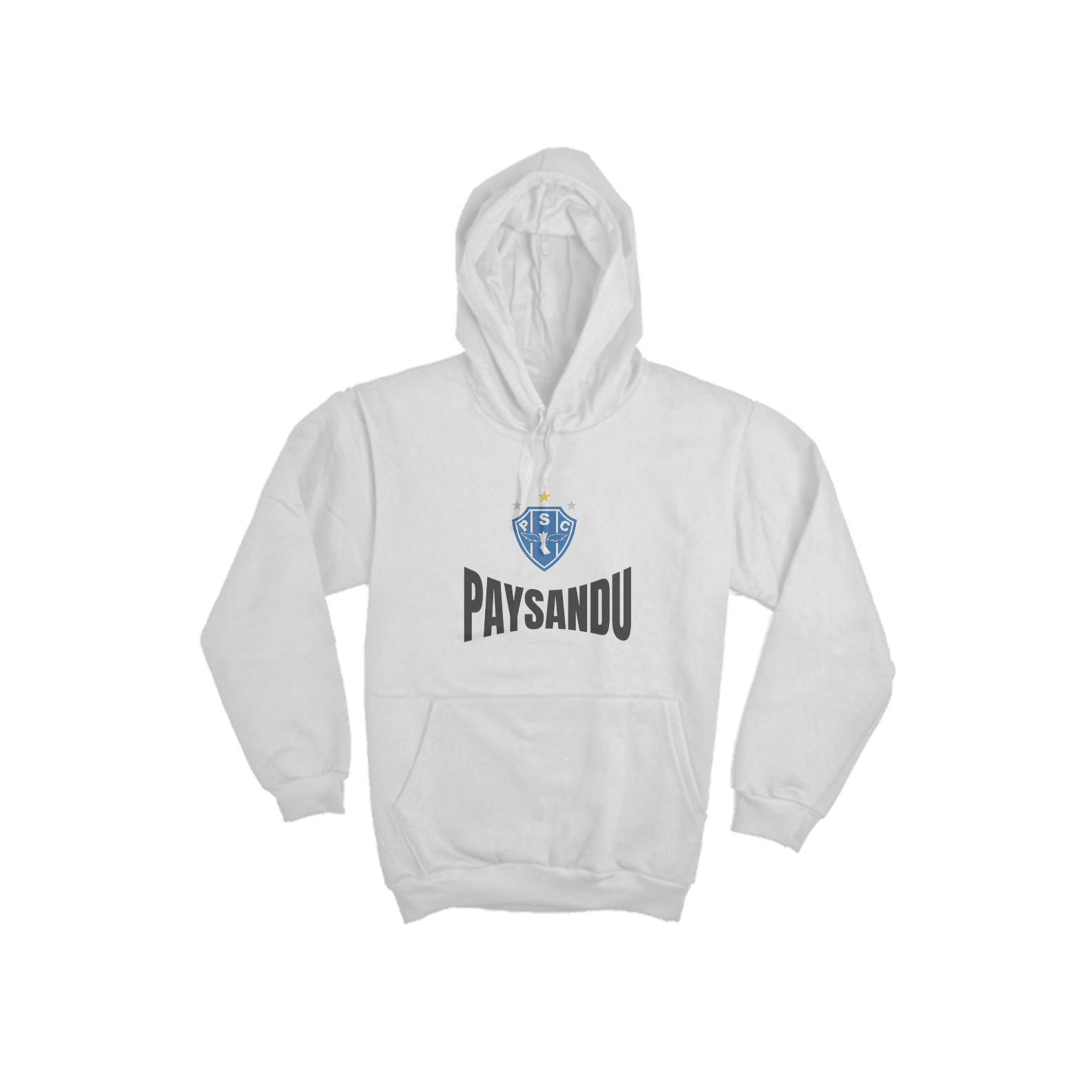 Nome do produto: Camisa PAYSANDU 2023 Moleton