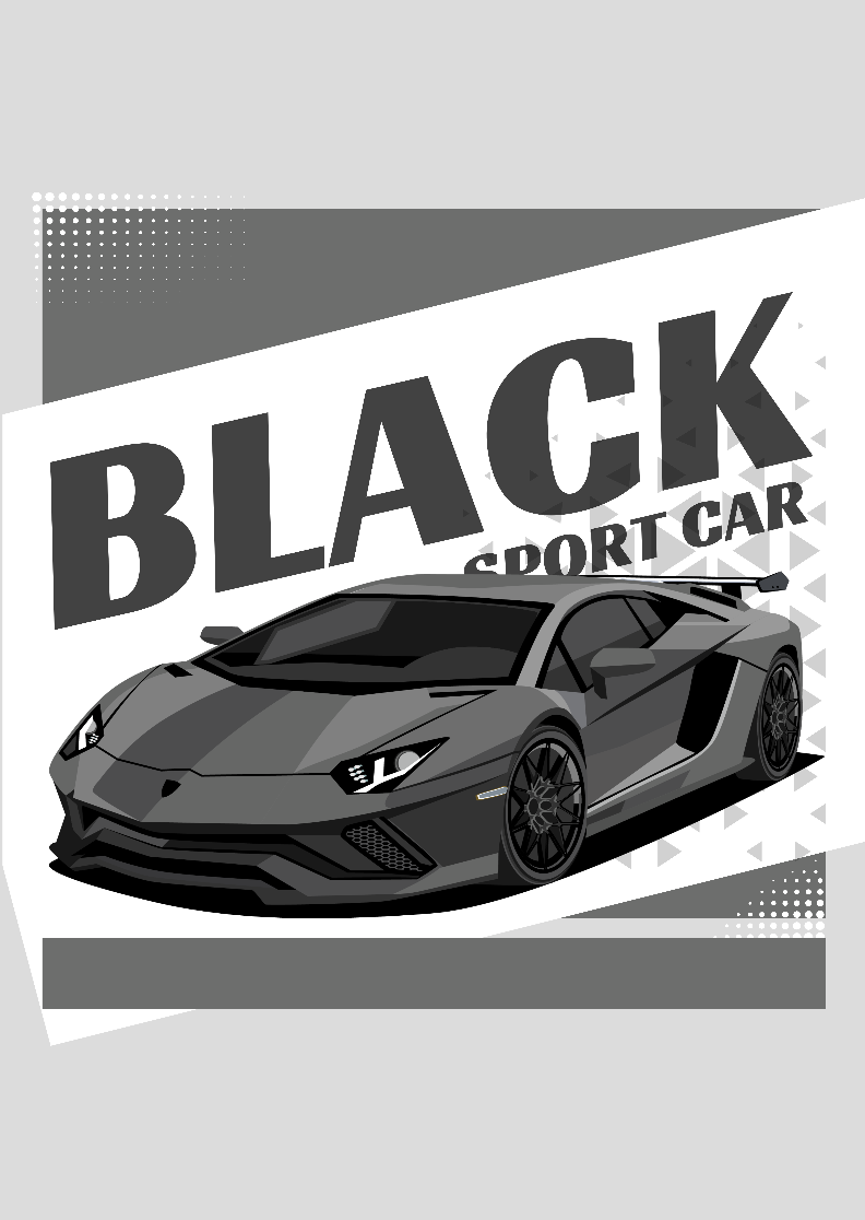 Nome do produto: Quadro Black Sport Car