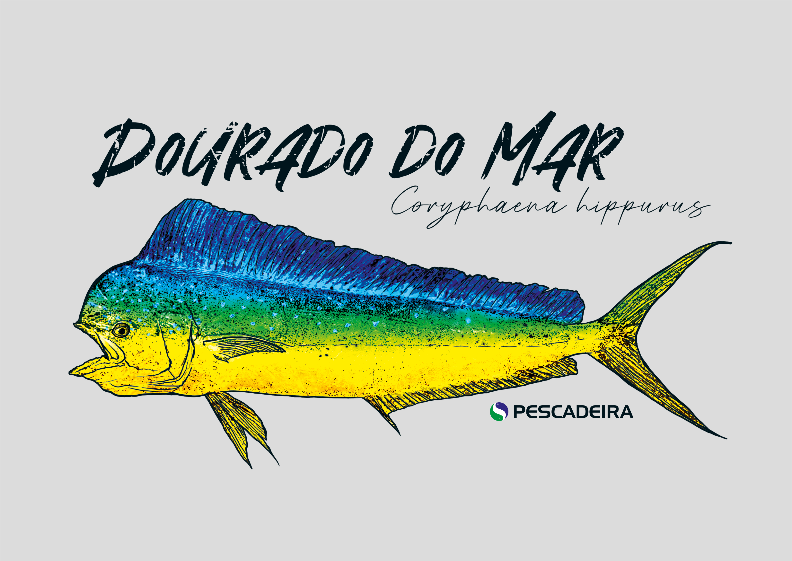 Nome do produto: Poster - Dourado do Mar