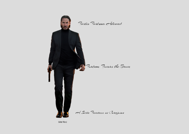 Nome do produto: Poster Paisagem - John Wick 1 - Fortis Fortuna Adiuvat