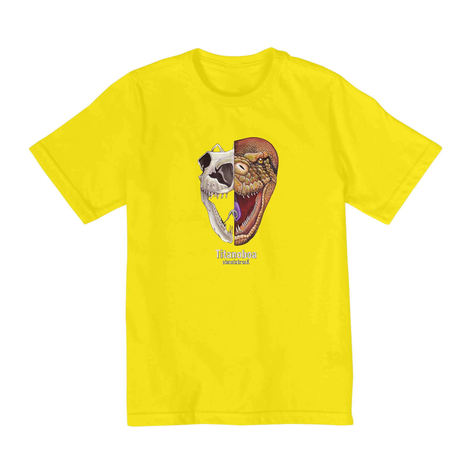 t-shirt infantil quality (2 a 8)