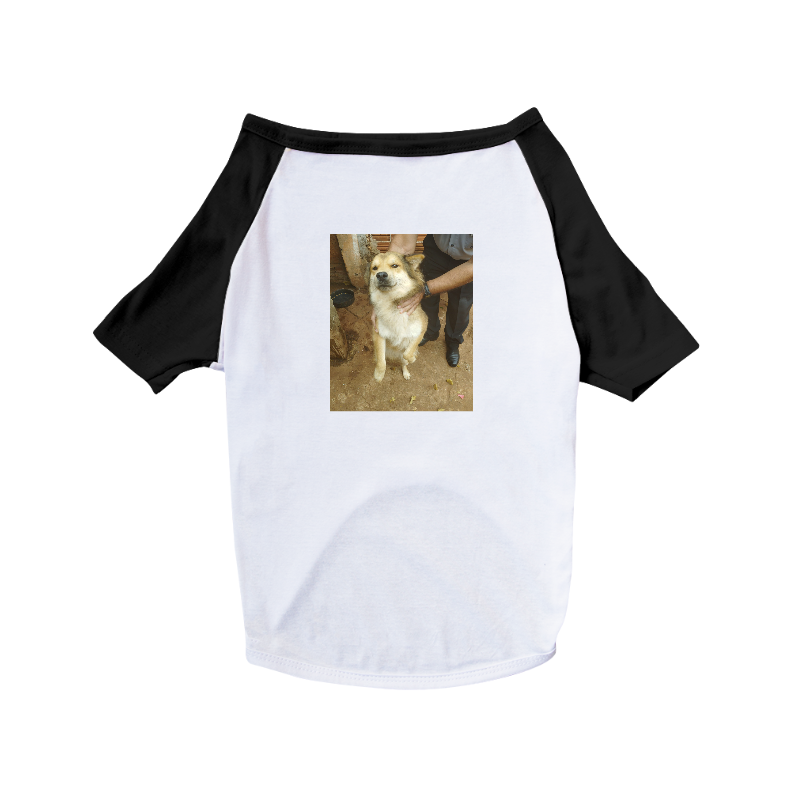 Nome do produto: Camiseta Pet