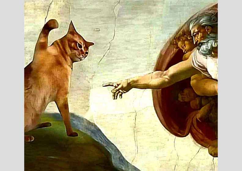 Nome do produto: Poster Gatinho