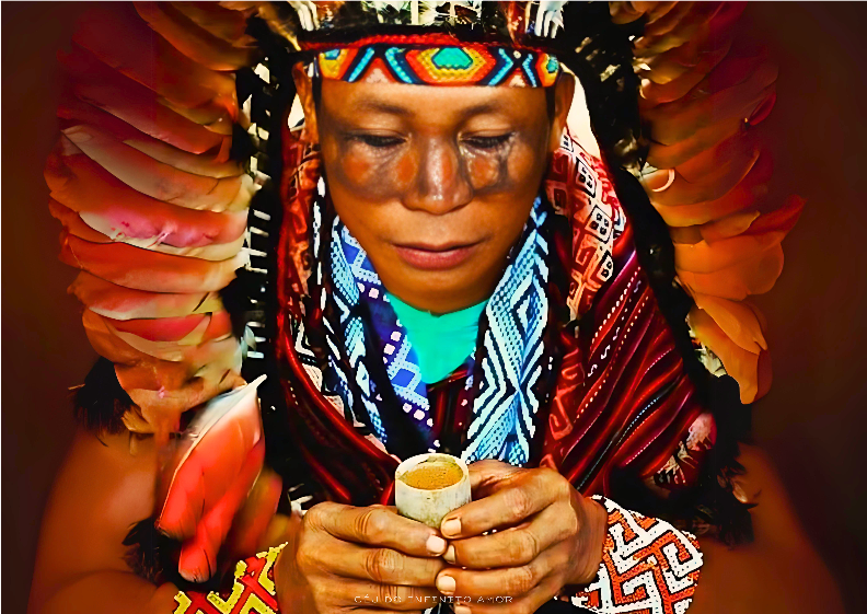 Nome do produto: Pôster O ÍNDIO QUE EXISTE EM MIM