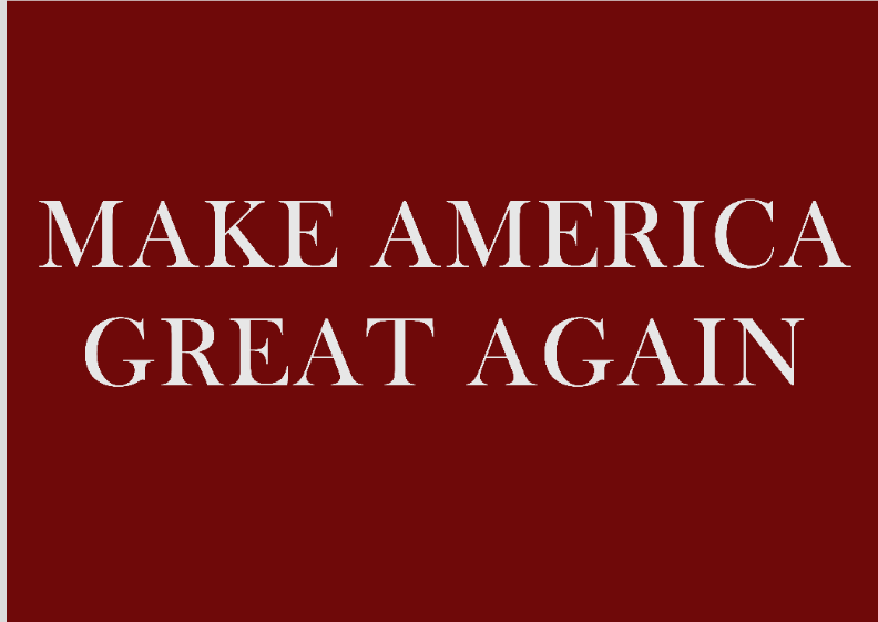 Nome do produto: Poster Paisagem Make America 