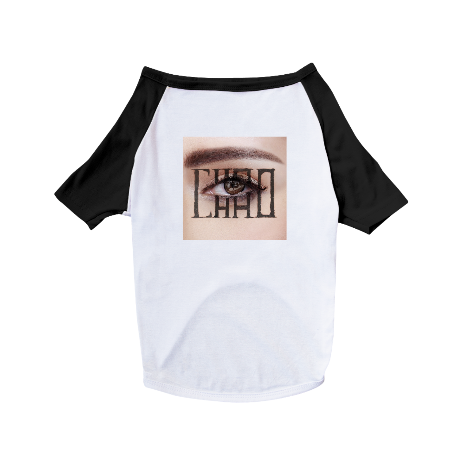 Nome do produto: roupa pet 