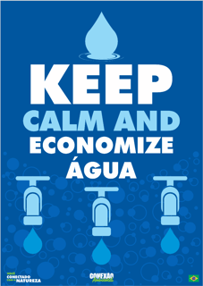Posters Meio Ambiente | Kepp Calm And Economiza