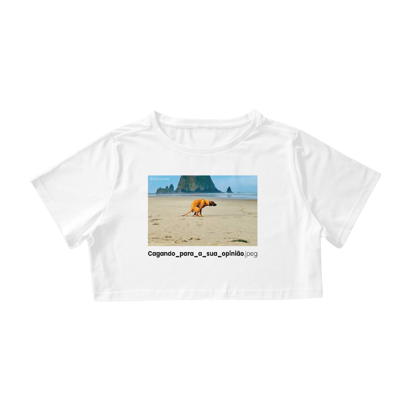 Nome do produto: Cropped - BRANCO - Cagando para a sua opinião