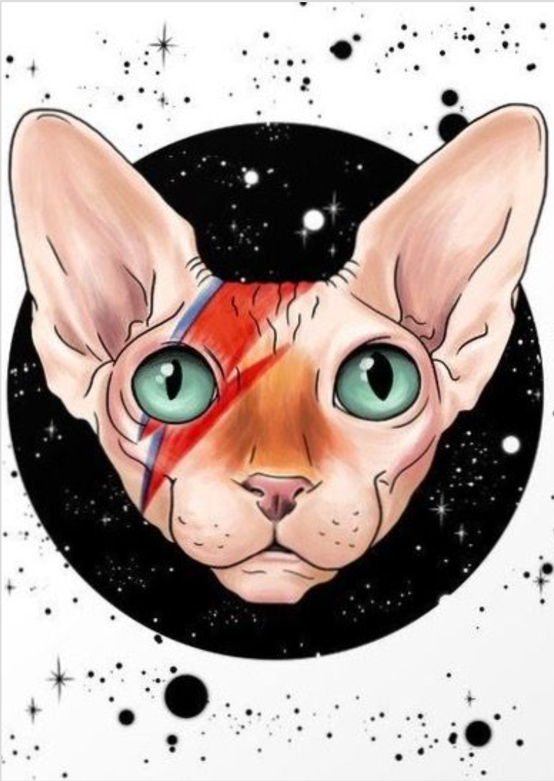 CAT BOWIE