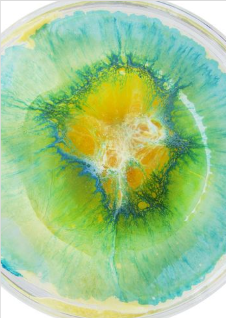 Circulo Abstrato sol