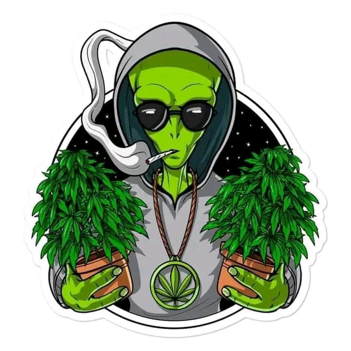 Nome do produto: Camisa et chapado