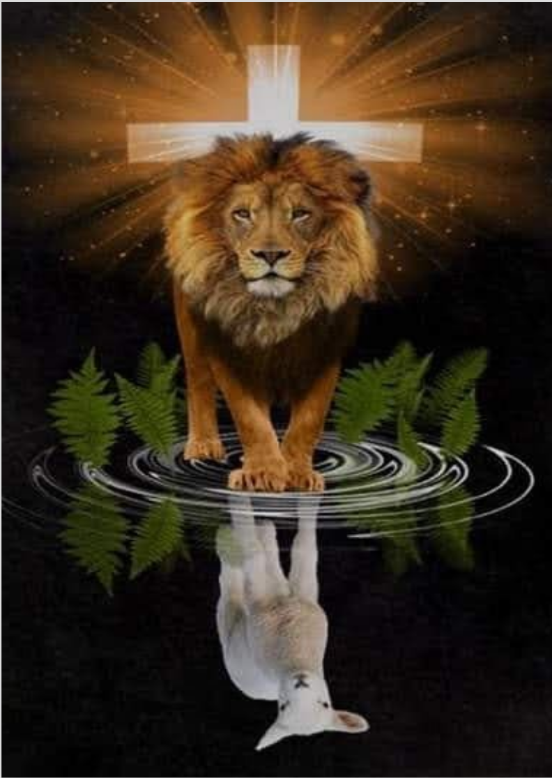 Nome do produto: POSTER CRUZ LEÃO E CORDEIRO