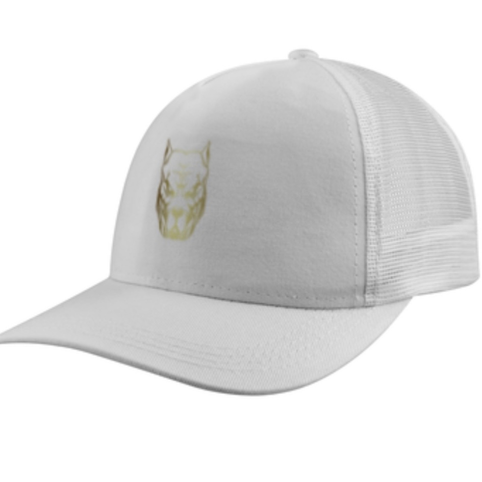 Nome do produto: Boné americano com tela