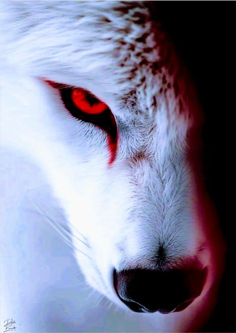 Nome do produto: Quadro lobo branco 