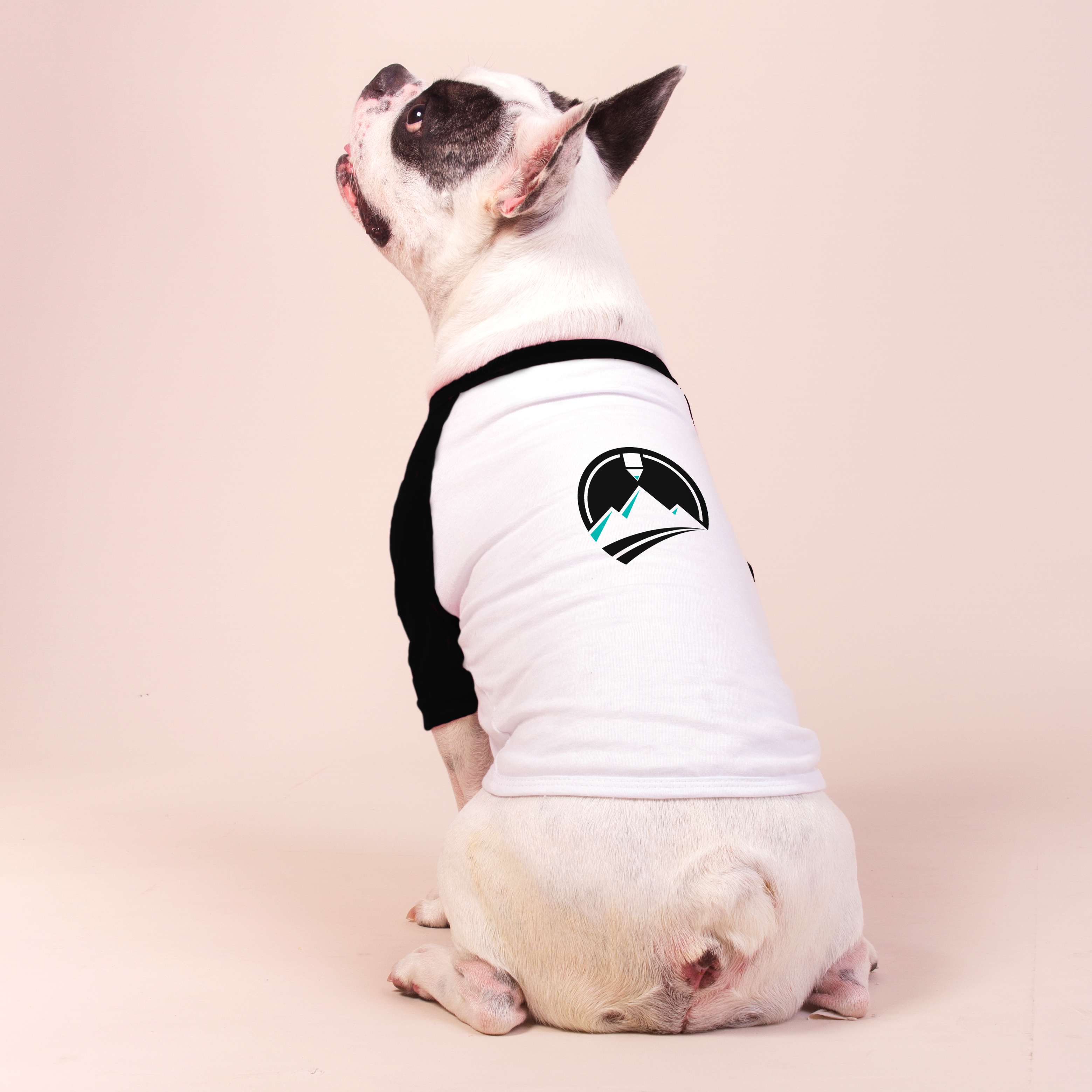 Camisa Pet Dog - Montink