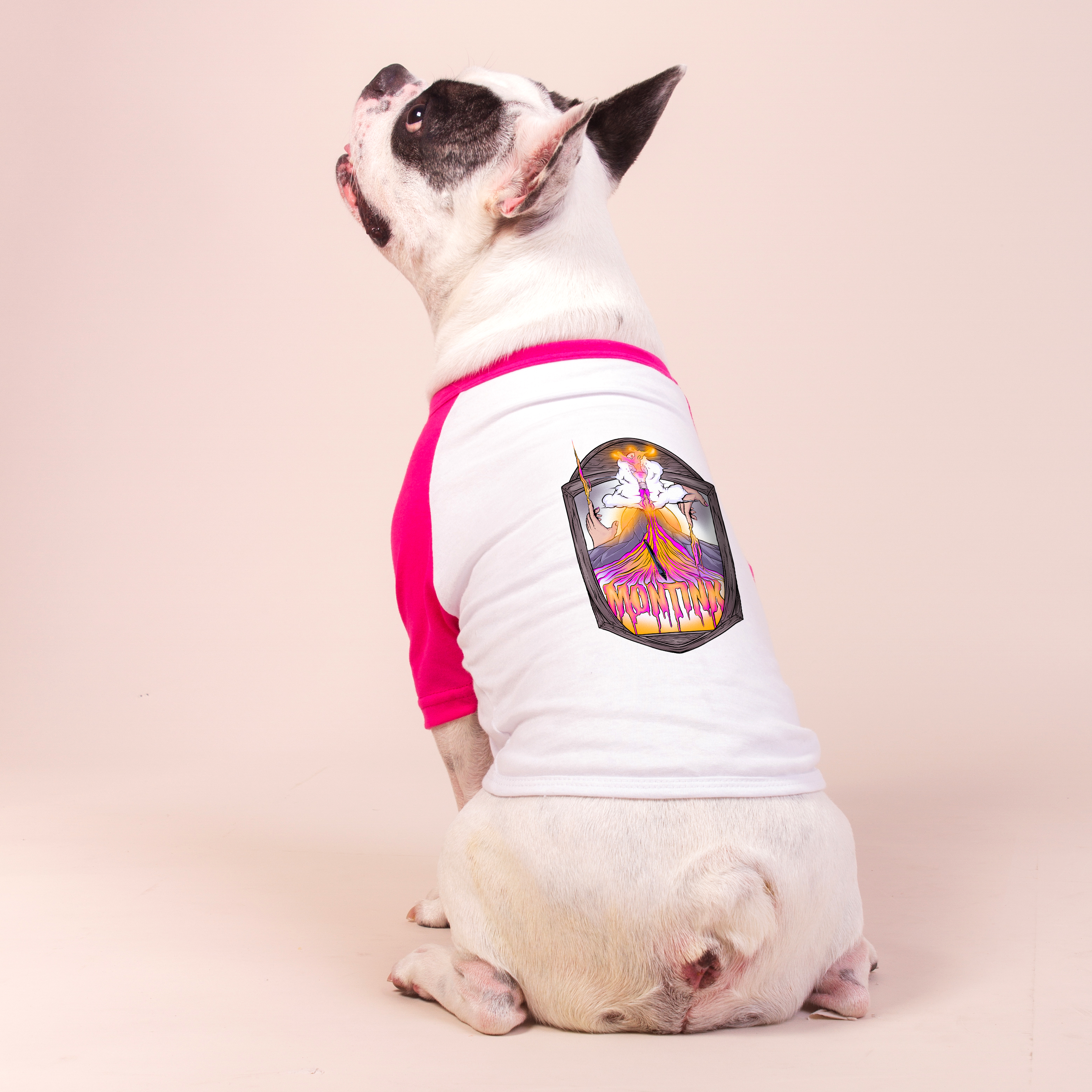 Camisa Pet Dog - Montink Mountain