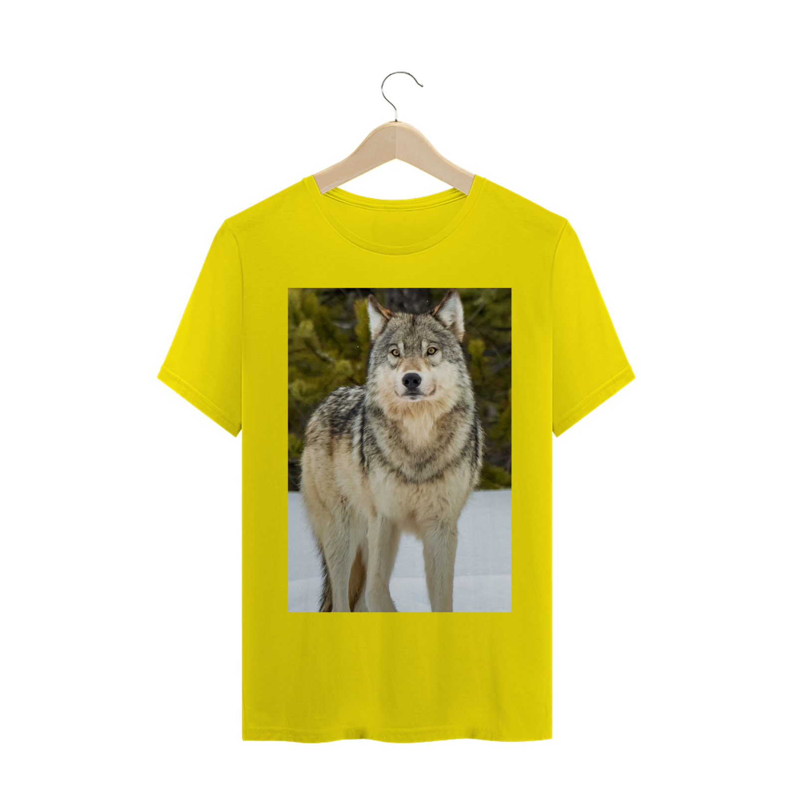 Nome do produto: LOBO CINZENTO (Canis lupus)