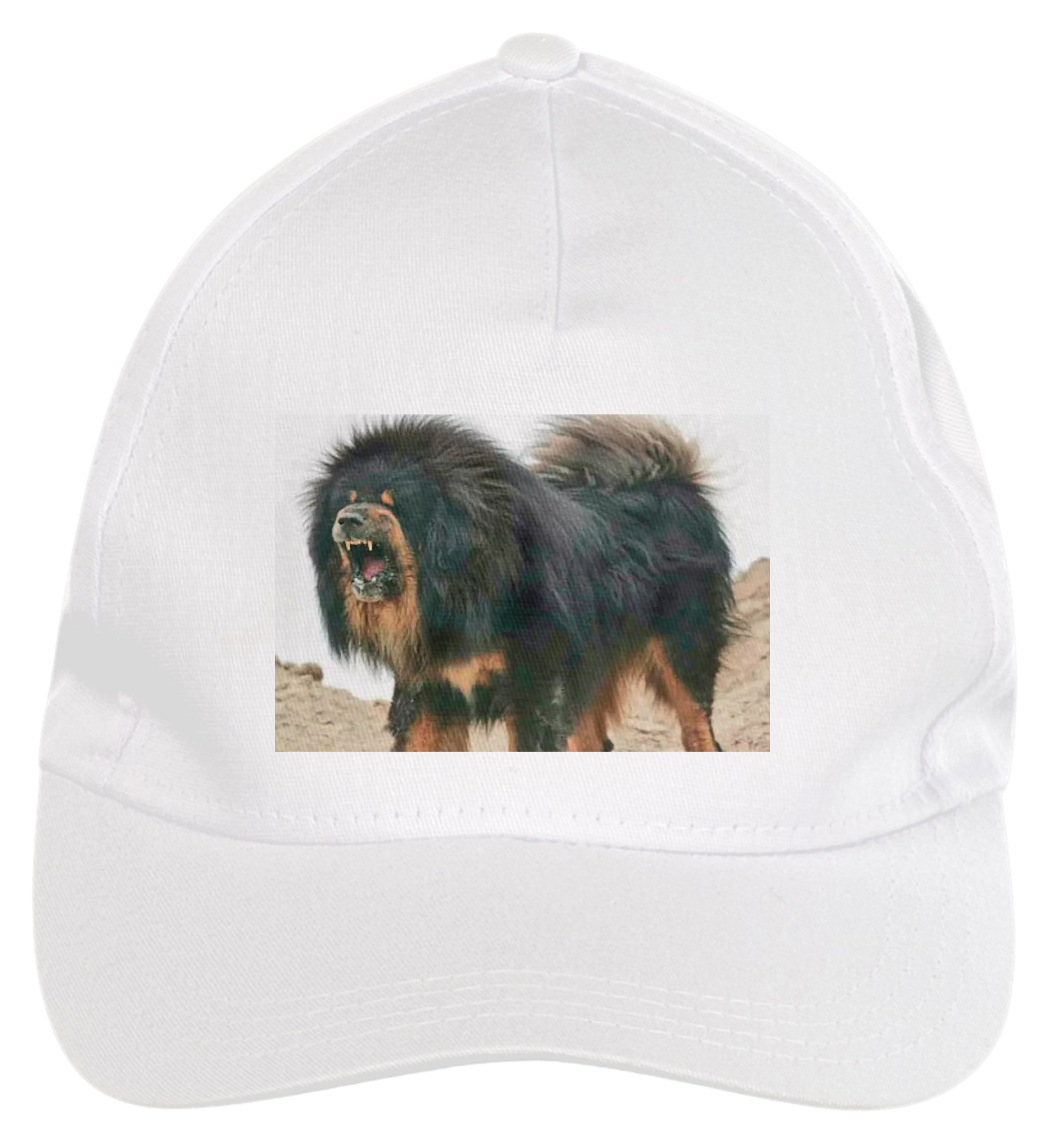 Nome do produto: BONÉ - CÃO MASTIM TIBETANO