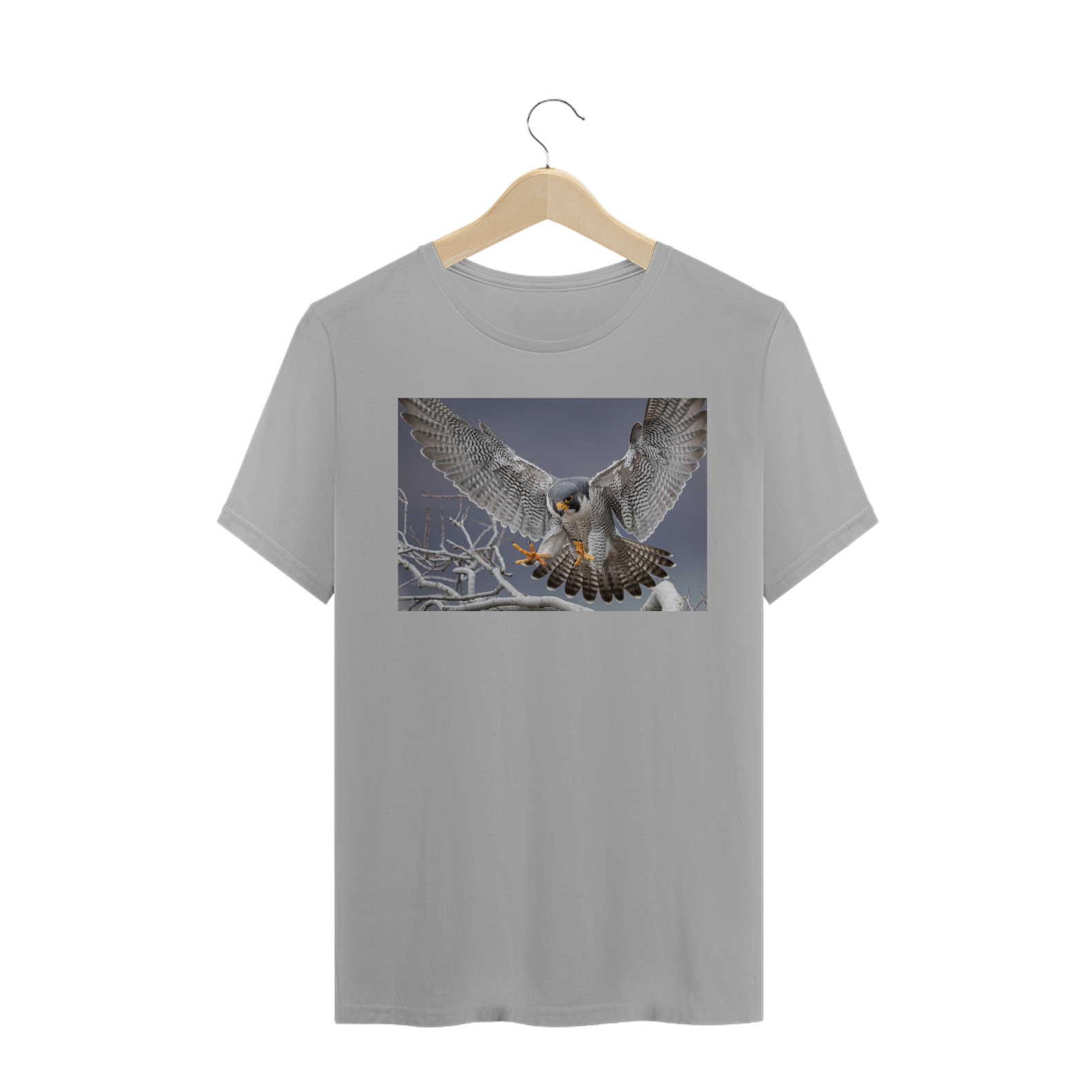 Nome do produto: FALCÃO PEREGRINO (Falco peregrinus)