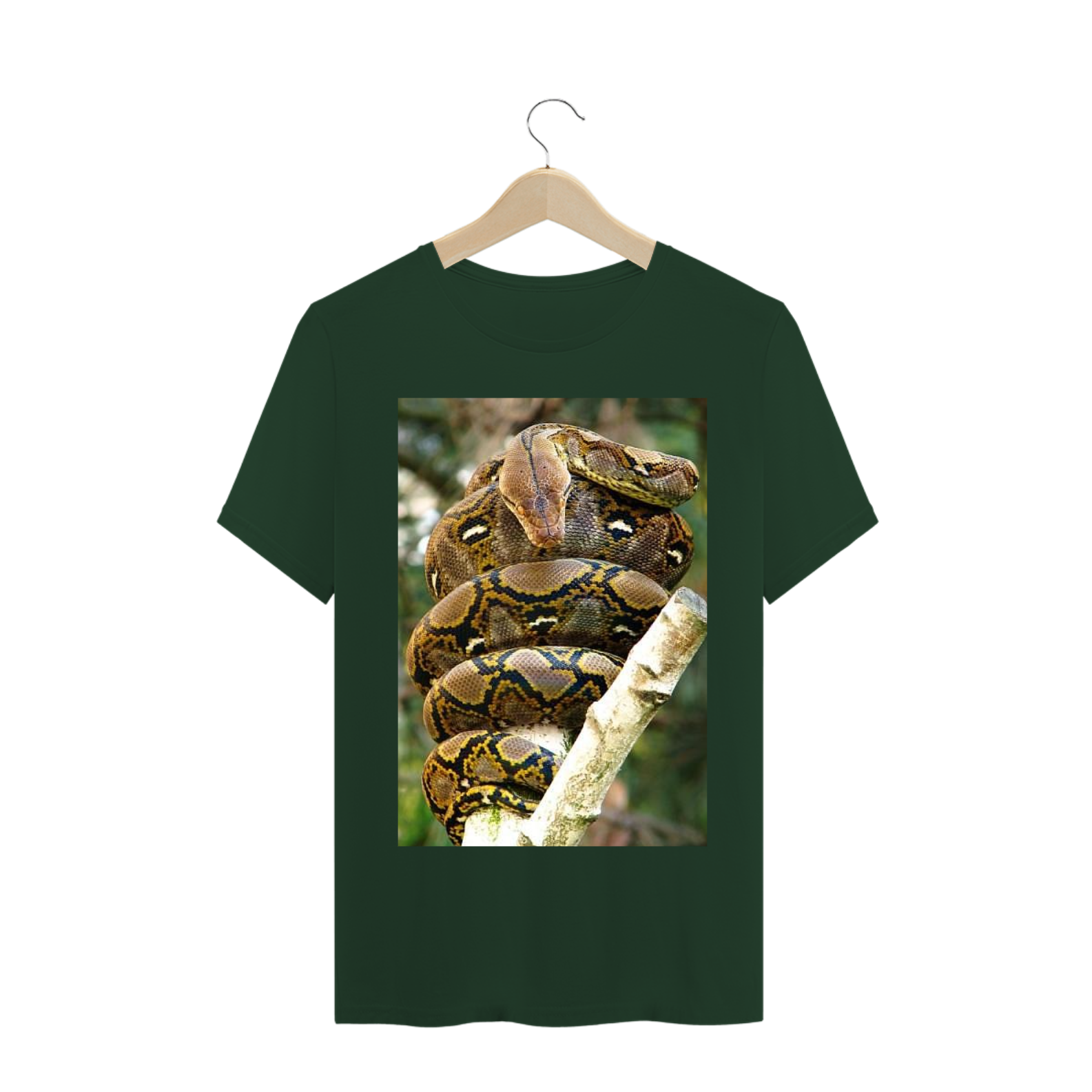 Nome do produto: PÍTON RETICULADA (Malayopython reticulatus)