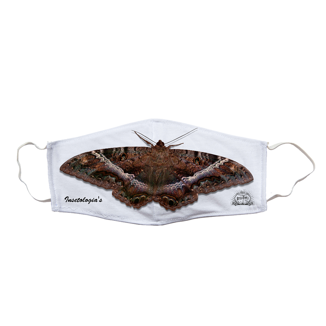 Nome do produto: Máscara Bruxa Negra