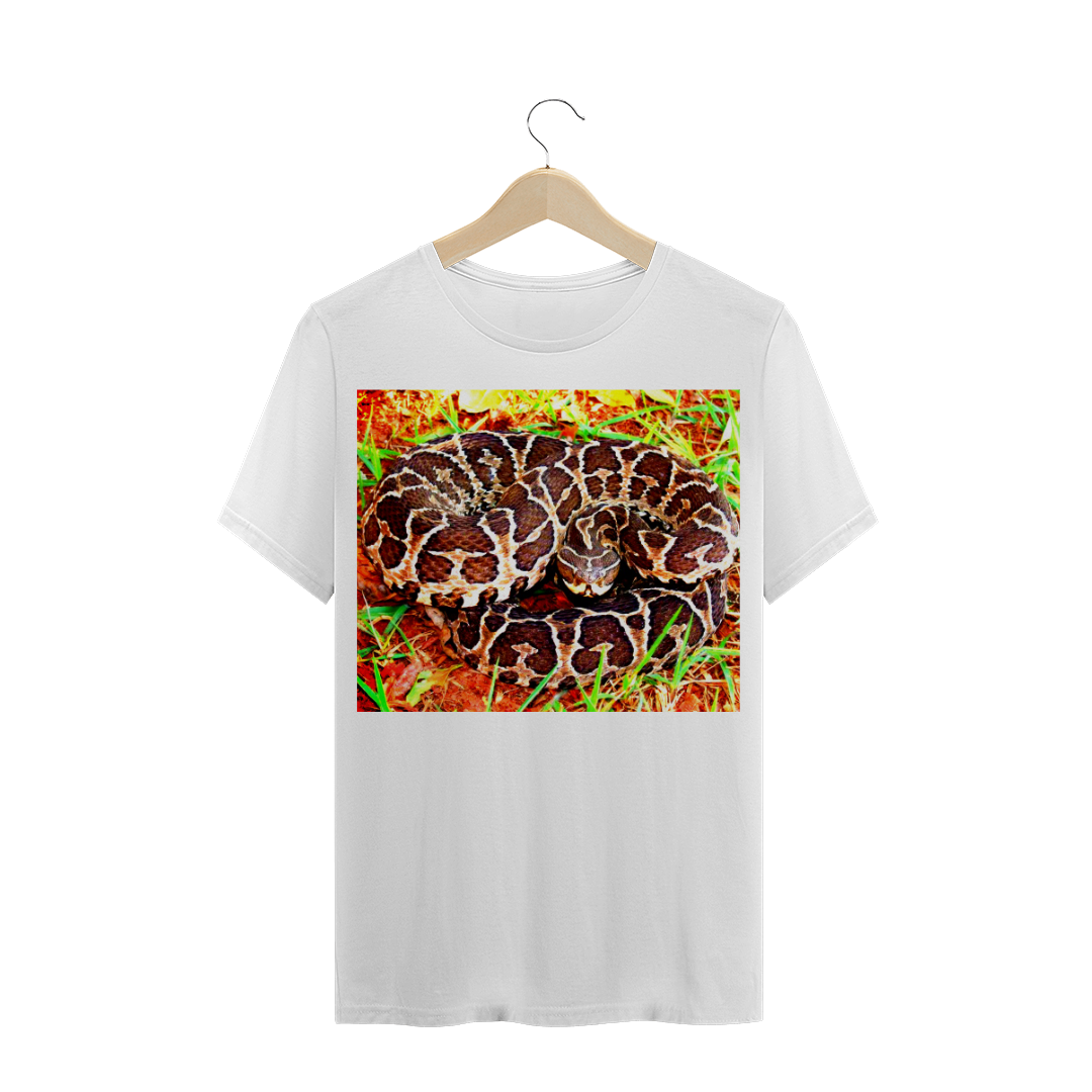 Nome do produto: URUTU CRUZEIRO (Bothrops alternatus) - COBRA / SERPENTE