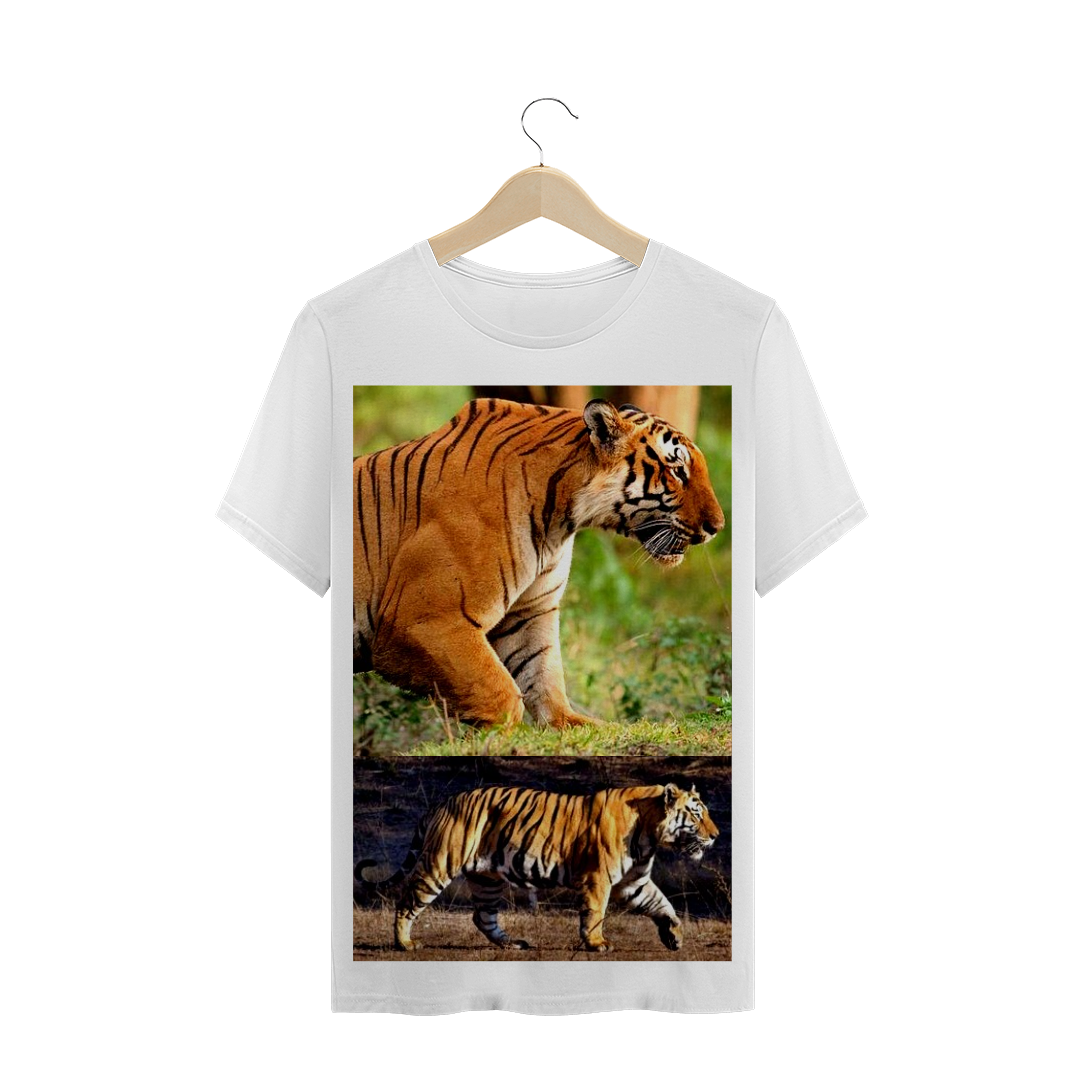 Nome do produto: TIGRE DE BENGALA - MUSCULATURA - GRANDES FELINOS - FELINO