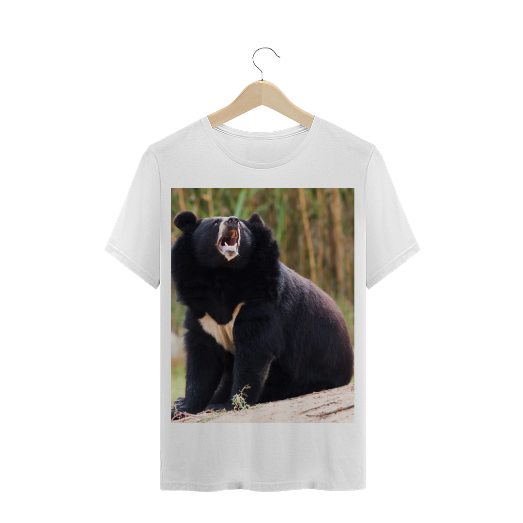 URSO PRETO ASIÁTICO