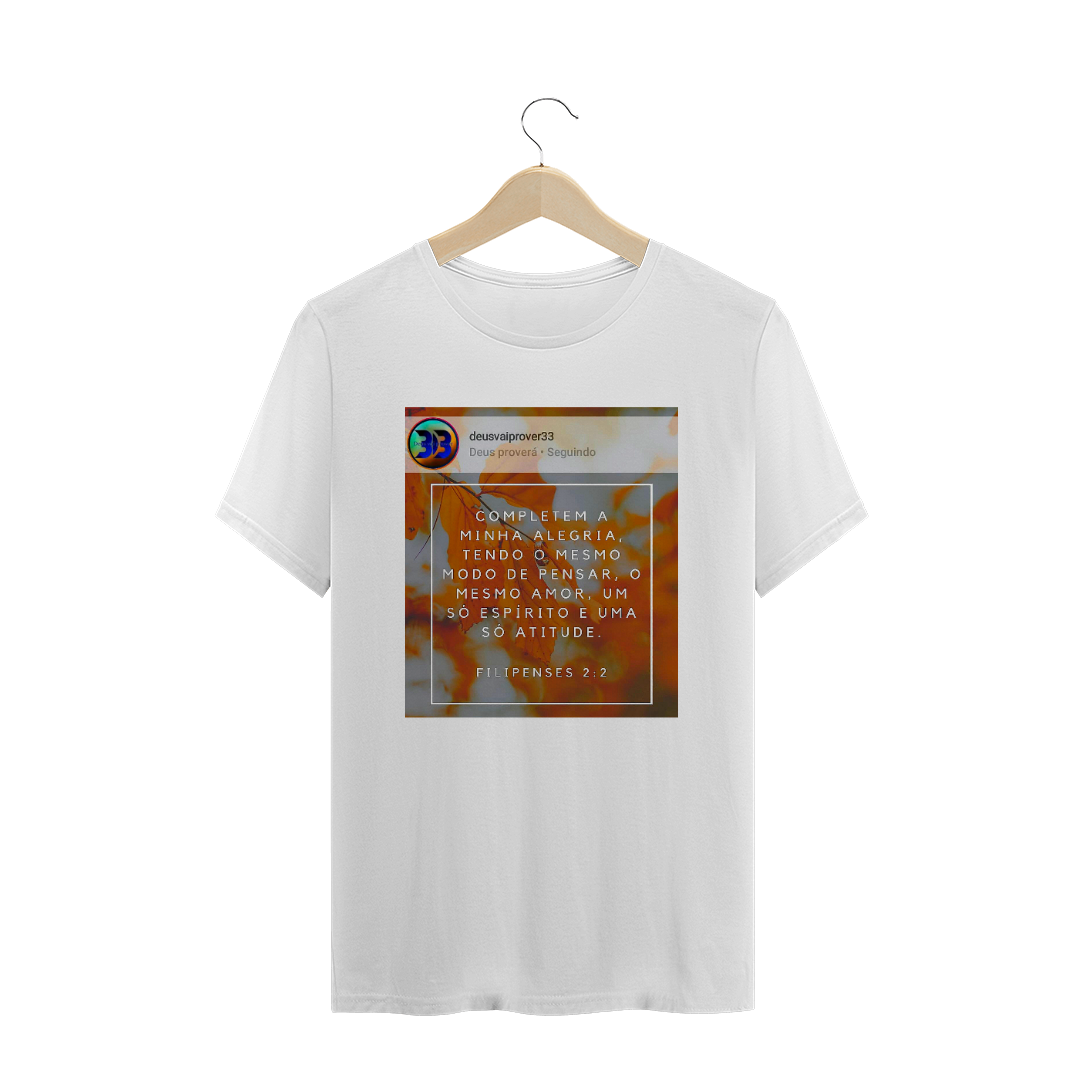 Nome do produto: Felipense 2:2