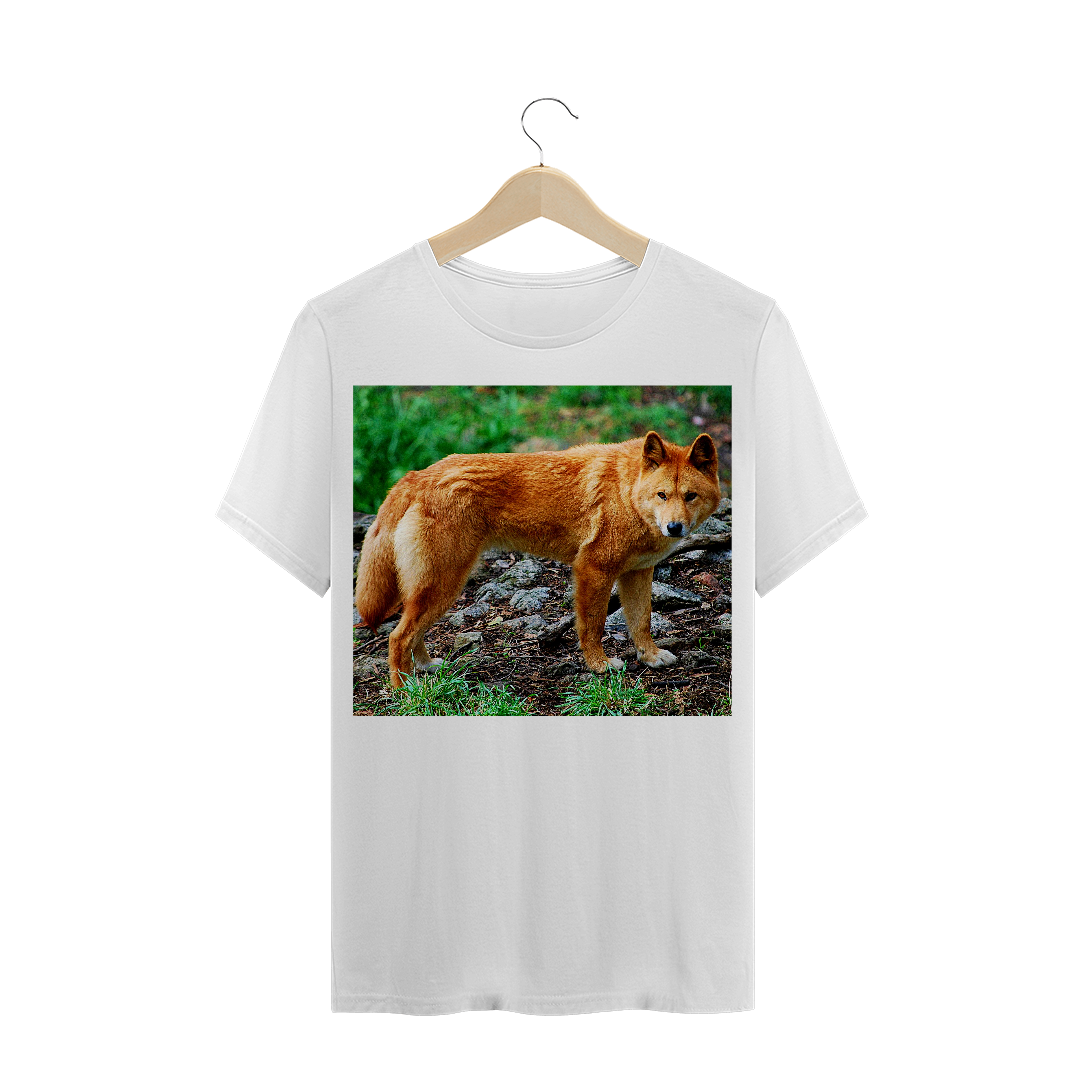 Nome do produto: DINGO