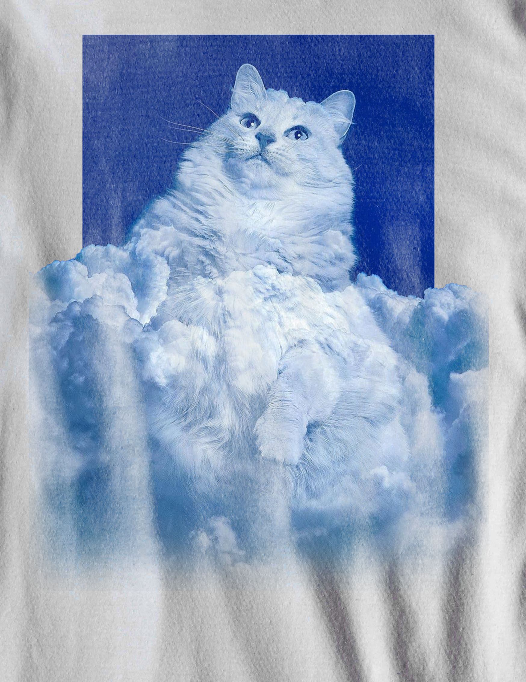 Nome do produto: Camiseta Gato Celeste - (unissex)