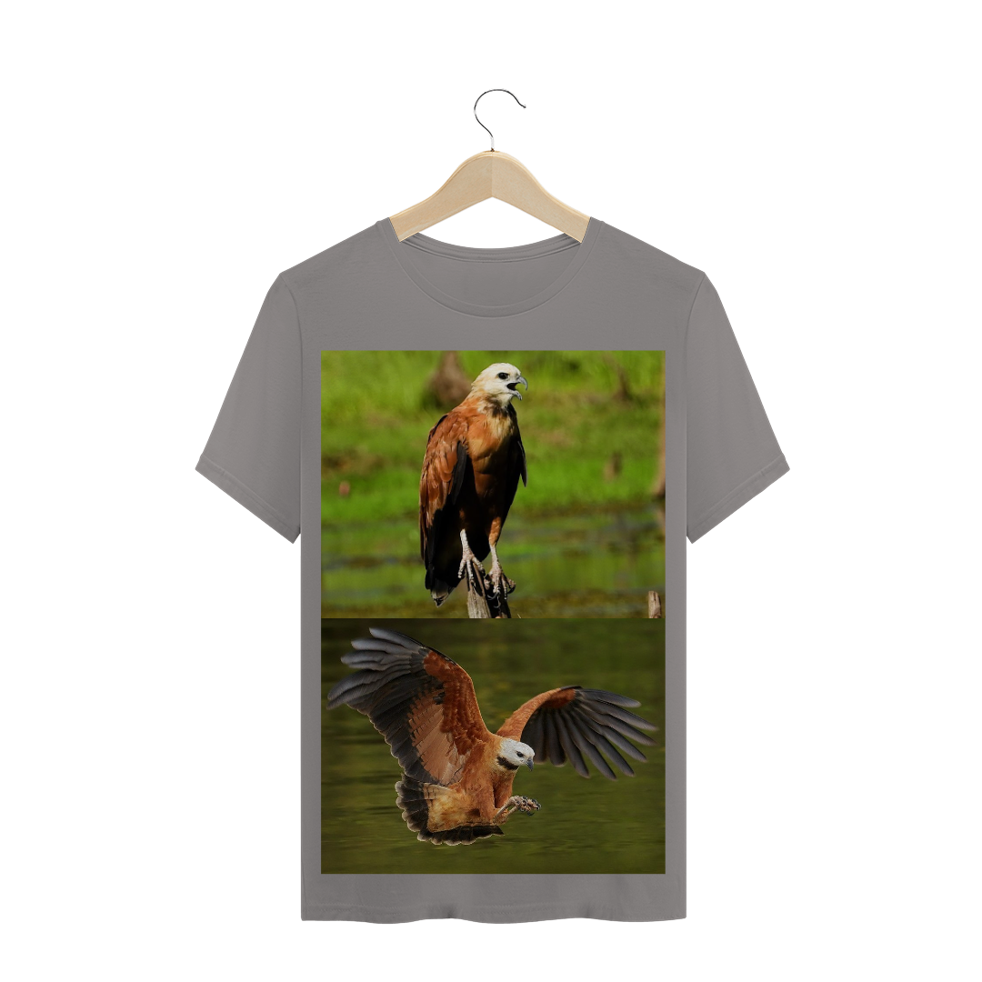 Nome do produto: GAVIÃO BELO (Busarellus nigricollis) - AVE