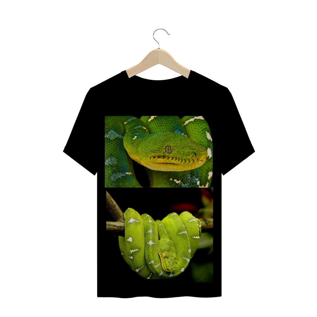 Nome do produto: JIBÓIA PAPAGAIO (Corallus caninus) - COBRA