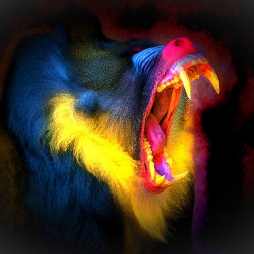 Logo da loja LEGIÃO SELVAGEM