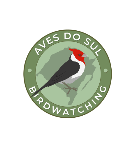 Aves do Sul | Kacau Oliveira - Camisetas e produtos personalizados
