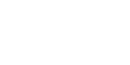 Logo da loja Ozelot