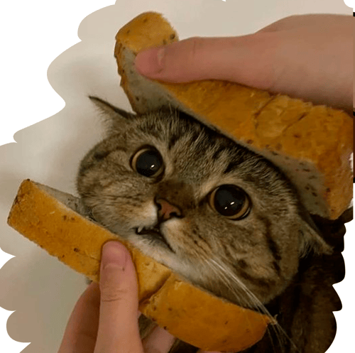 Logo da loja Barraquinha do Baq