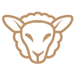 Logo da loja SR moda cristã