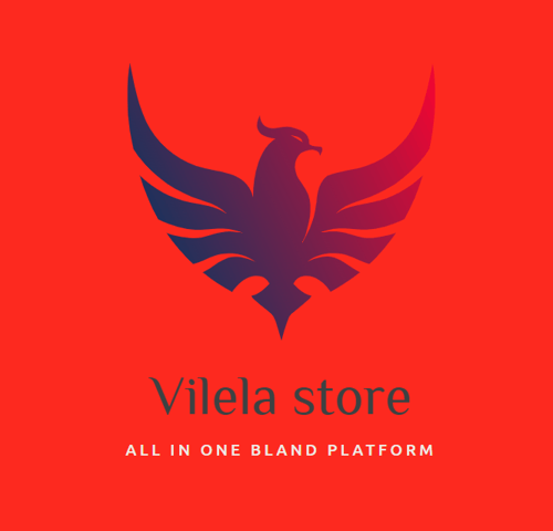 Logo da loja Vilela store