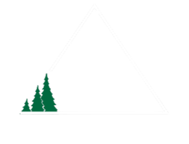 Logo da loja Forest Outfit