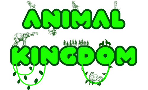 Logo da loja Loja Animal Kingdom