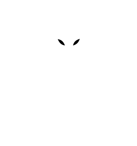 Logo da loja White Dragon