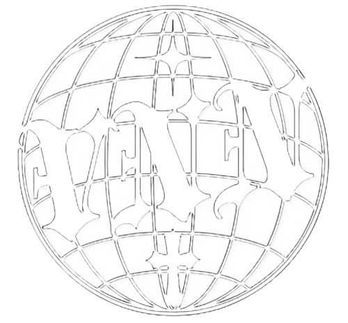 Logo da loja VNN Store