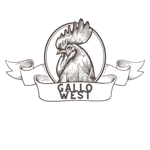 Logo da loja Hugo Marcelo Marcon